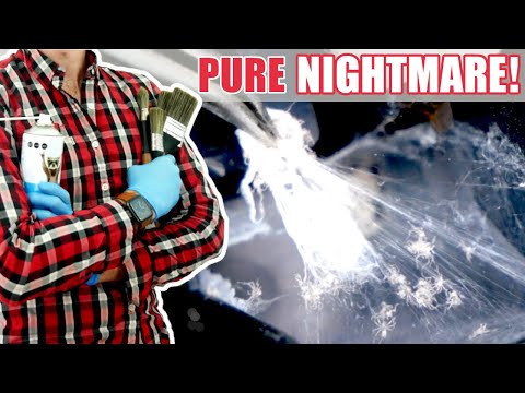 This computer CLEANING was AWFUL [4K]