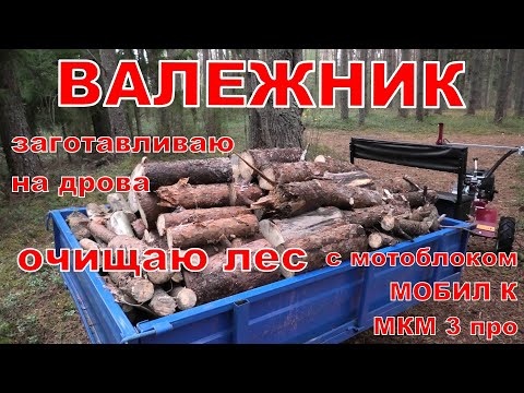 Deadwood. I harvest it for firewood with a MOBIL K MKM 3 pro walk-behind tractor.