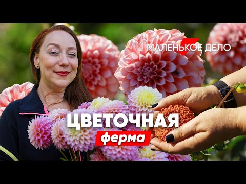 Как заработать на цветочной грядке? Монолог владелицы фермы