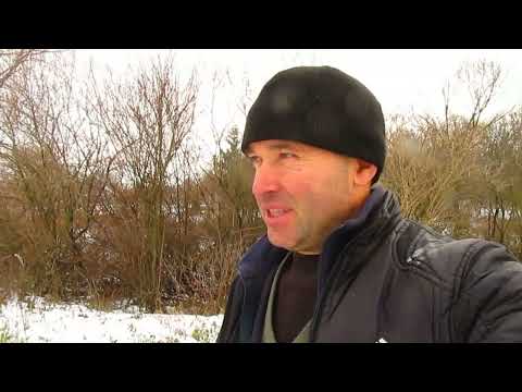 Соседская дача. Обрезка слабых саженцев вишни, абрикоса и груши.