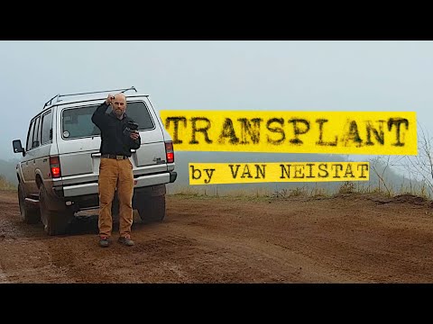 The DREAM of Owning a Vintage Truck