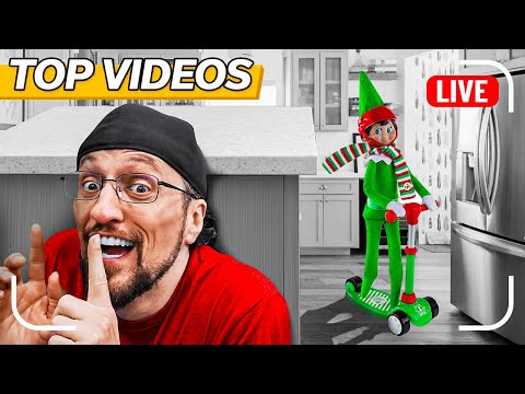 WE CAUGHT OUR ELVES MOVING!! (Buddies’ Revenge 😨) | FV Family
