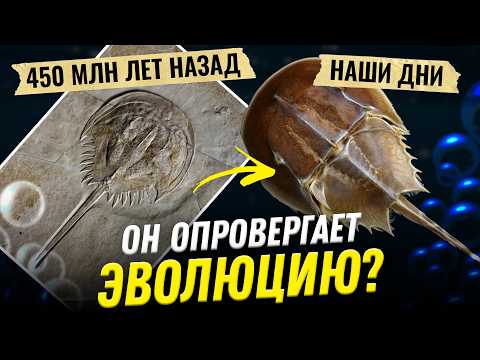 Живые ископаемые против эволюции | палеонтолог Яна Шурупова  | Ученые против мифов 23-10