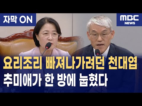 [자막] 윤석열·지귀연 배당 의혹 지적하자… 천대엽 회피, 추미애가 논리로 제압했다