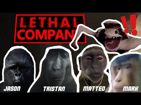 4 MONKEYS Play Lethal Company