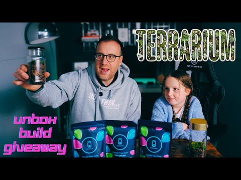 Father–Daughter Terrarium Build! Reviewing Glassworlds + Kit Giveaway 🌱