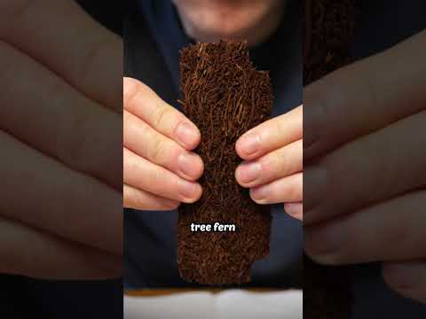 How to make a tiny terrarium