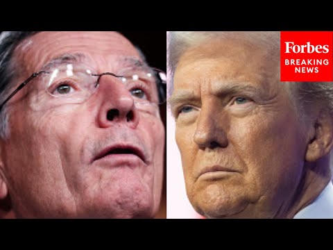 John Barrasso Praises Trump For Ending Biden Administration's 'War On American Energy'