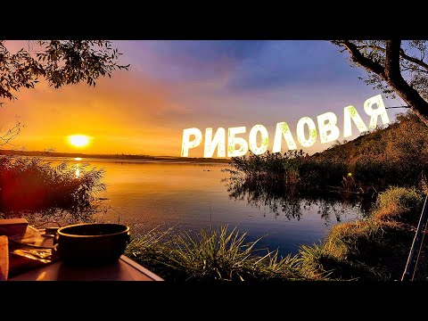 💥 BURSHTYNSKE RESERVOIR / FISHING WITH OVERNIGHT ACCOMMODATION💥