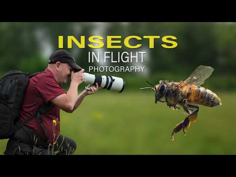 Photographing Flying Insects Is Almost Easy… With This Trick!
