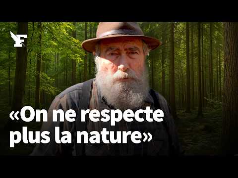 «La forêt n’est plus protégée»: le cri d'alarme d'un ancien garde-forestier