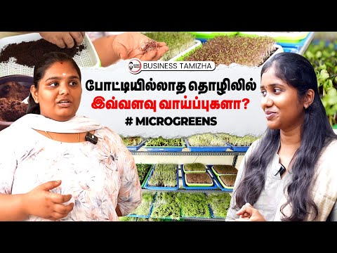 2025யில் வீட்டில் இருந்து தொடங்கக்கூடிய புதுவித தொழில் வாய்ப்பு | போட்டி இல்லாத Microgreens Business