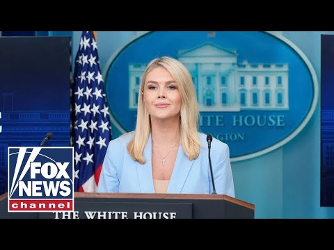 Karoline Leavitt slams Dems over air travel chaos amid shutdown