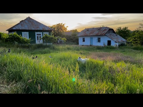 Молдавское село Тырново, 18.06.2023