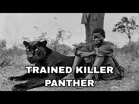 The slave who raised a panther to kill fourteen slave owners and became legendary. Louisiana, 1847