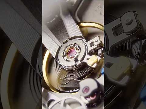 Getting Up Close: The 360° Microscope