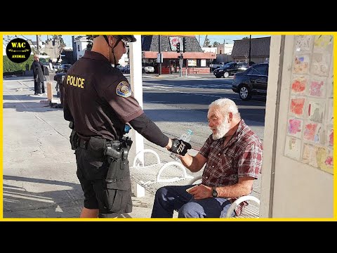 50 Real Life Superheroes Caught on Camera! #31| Animals That Asked People for Help & Kindness!