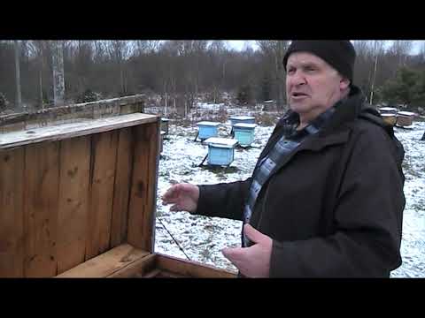 КАК ПОЛУЧИТЬ ФЛЯГУ МЁДА С УЛЬЯ ЛЕЖАКА.