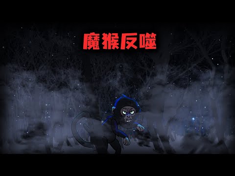 （完整版）當你發現猴子笑得像人一樣，一定要躲得越遠越好