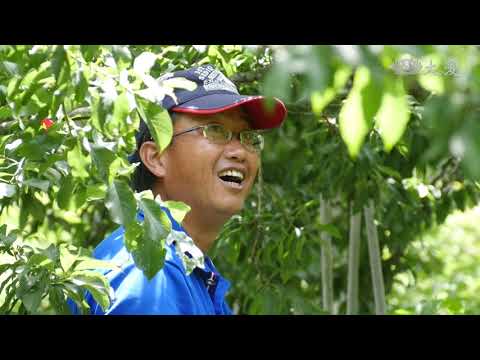 【農夫與他的田】20181019 - 與草比鄰的山居農夫