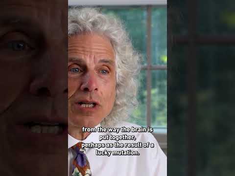 Language Is A Darwinian Adaptation