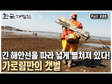 갯마을의 특별한 겨울맞이를 만나러 간다! 산, 계곡, 바다, 갯벌이 고루 자리하고 있는 충남 서산 (KBS 20131215 방송)