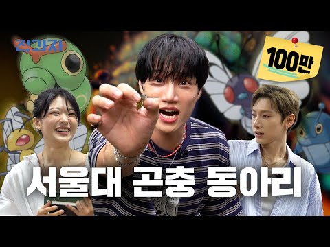 The easiest way to enter SNU [SNU Insect Club] | Jeongwaja