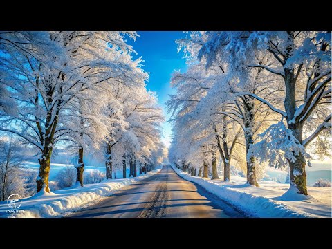 Beautiful Winter Music 2026 ❄️ Anti Stress Music for Relaxation and Mental Recovery