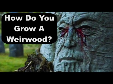 What Are Weirwood Seeds? And How Do You Grow A Weirwood?