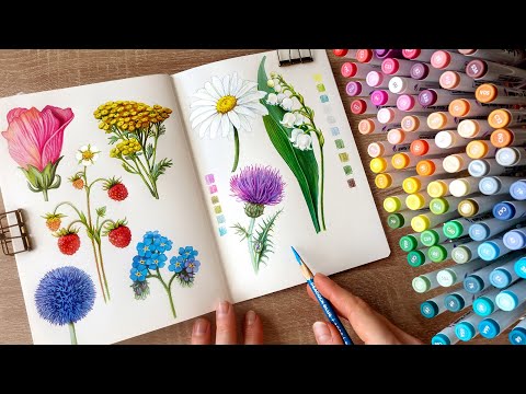 Spend time with me relaxing and drawing plants 🪻🌿/ no music, no talking