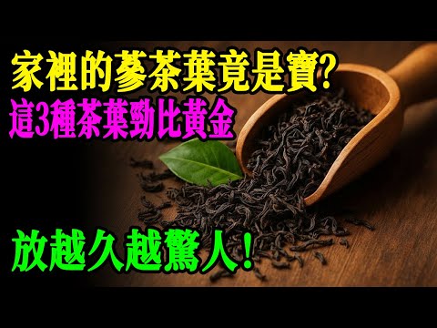 震撼！這3種「爛茶葉」比黃金還貴，放10年價值翻100倍！富豪都在偷偷收藏