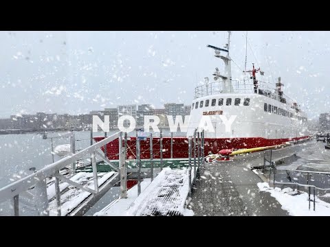 Freezing Cold in Tromsø Norway 🇳🇴 | Arctic Winter 4K