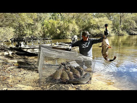 300 Pounds of CATFISH in 1 Trip Challenge (24 Hours at Fish Camp)