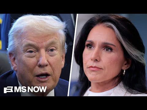 Why was Gabbard at Fulton County raid? WH offers differing reasons