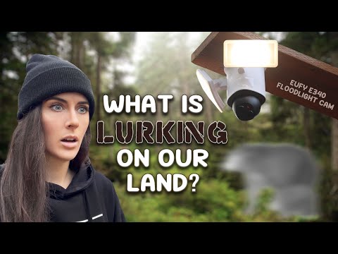 WE CAUGHT IT ON CAMERA! Eufy E340 360° Floodlight Security Camera #security #camera #surveillance