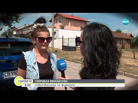 „Екскурзия мираж”: Измамната схема с почивки продължава - но вече чрез фирма под наем