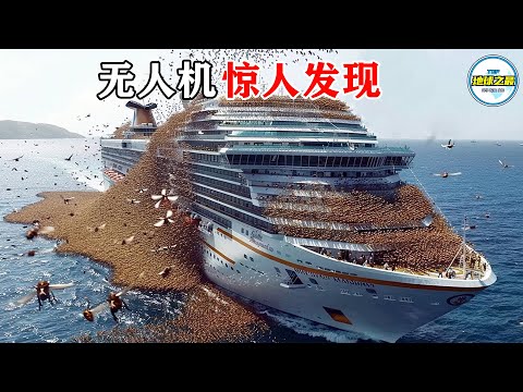 若非无人机拍到真难以置信！最惊人的无人机录像，拍摄者不敢相信自己的眼睛！丨地球之最#冷知识 #排名 #世界之最#惊人发现#无人机#无人机惊人发现#地球之最top#世界之最top#top10