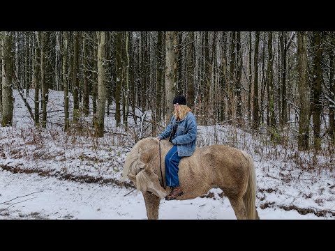 A Very Snowy January
