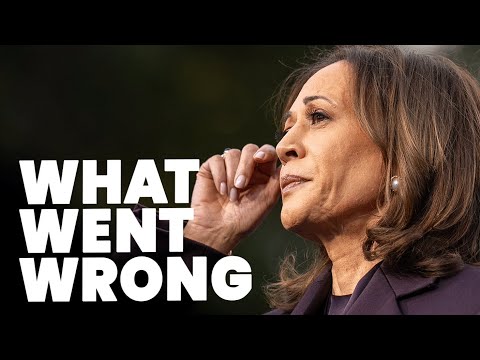 Kamala Harris's Democrat loss explained | The Story