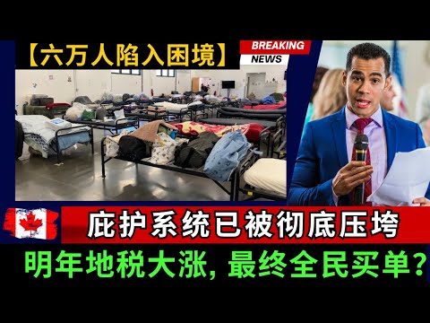 六万人陷入困境，庇护系统已被彻底压垮，明年地税大涨最终全民买单？这到底是联邦政府的失职，省级政府的卸责，还是市政府以百姓作为筹码挟纳税人以令联邦的滥权！#加拿大 #北美生活 #移民經歷 #经济危机