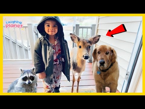 👶🐾When your baby brings a friend home🤣Cute babies and animals
