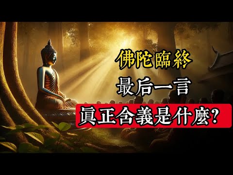 佛陀臨終最後一言，真正含義是什麽？｜佛教 ｜佛學知識｜修心修行｜禪悟人生