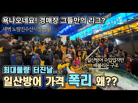 방어 폭락? 소비자는 호갱? 일방 수입업자만 대박?? 욕나오네요! 노량진수산시장 물량 폭탄 아침 7시까지 경매! [난리난 노량진수산물도매시장]