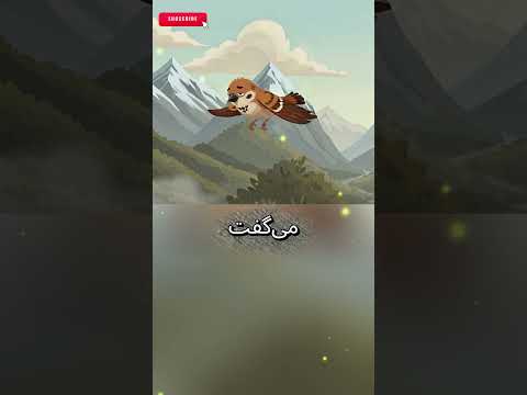 پایان همیشه پایان نیست | بعضی از پایانها راهی بهتر جلو پایمان میگذارد