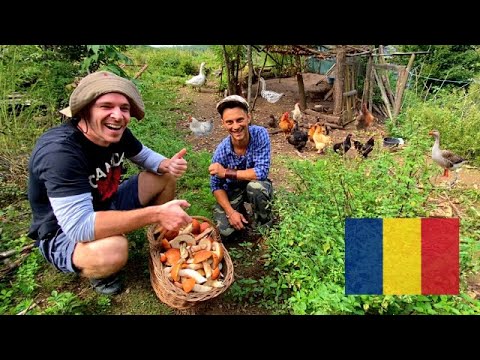 LIVING OFF-GRID in Romanian countryside 🇷🇴