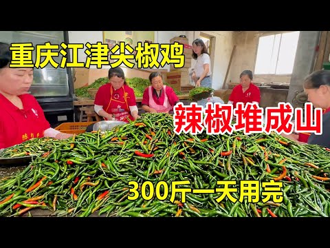 重庆江津“尖椒鸡”老店，后厨辣椒堆成小山，300多斤一天就用完 #麦总去哪吃