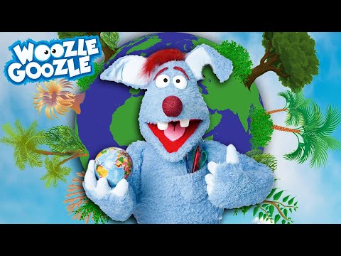 Wachsen überall auf der Welt Pflanzen? l WOOZLE GOOZLE