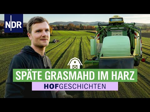 Steffen Thudt haut nochmal eben 20 Rundballen raus | Hofgeschichten (355) | 14.11.2025 | NDR