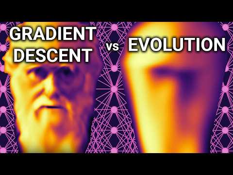 Gradient Descent vs Evolution | How Neural Networks Learn