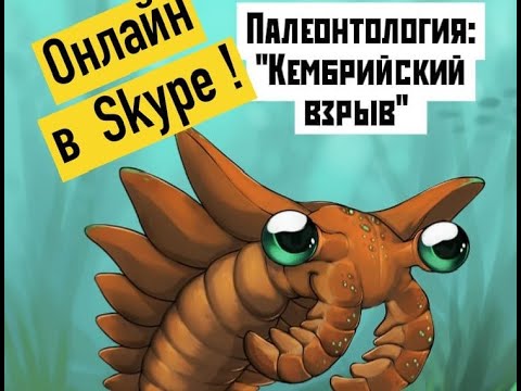 Палеонтология: Кембрийский взрыв